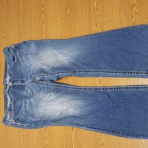 Ariya Denim Jeans Plus size 24